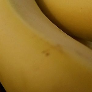 Meet your Posher, Dina